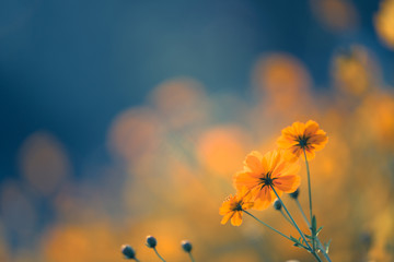 一个小土坡的标志