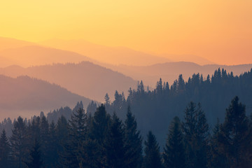 父亲的车能过户给儿子吗