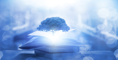 国产斯泰拉纺车轮和阿布哪个好