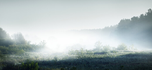 早安心语：发朋友圈的清晨短句