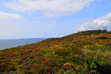 车辆温度传感器坏了有什么特征？