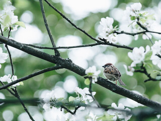 父亲的车能过户给儿子吗