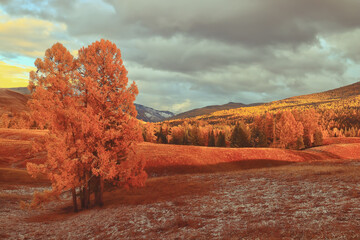 防冻液可以混用吗