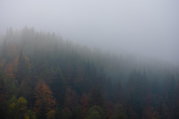 早安心语：发朋友圈的清晨短句