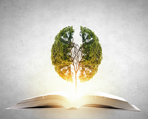 早安心语：发朋友圈的清晨短句