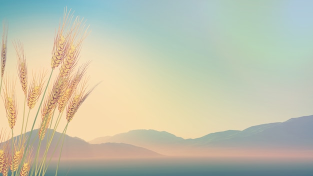 数学大迷思的手抄报 数学手抄报