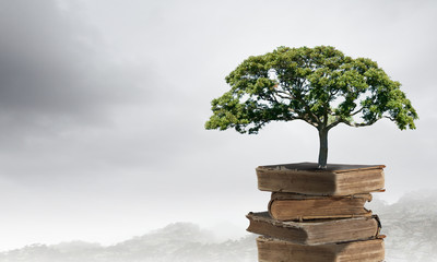 送女客户什么礼物