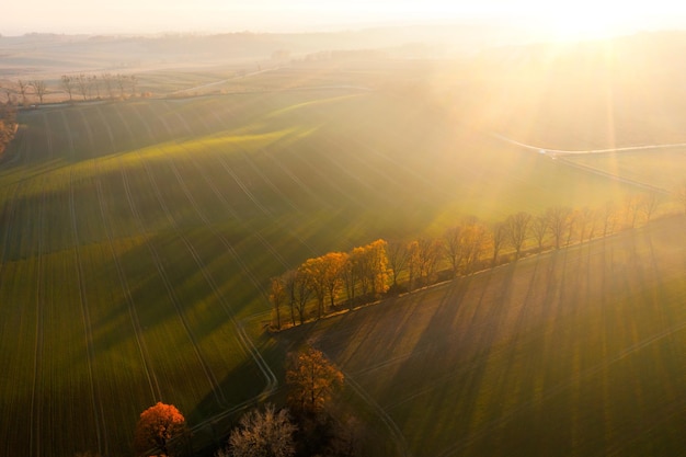 今年高新大吉村拆迁不