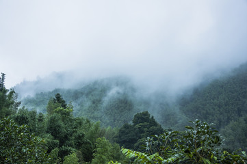 汽车显示abs和刹车灯一直亮是什么原因
